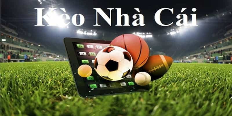 soi kèo nhà cái Các yếu tố cần quan tâm khi soi kèo nhà cái