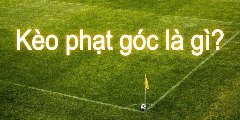 soi kèo phạt góc Kinh nghiệm thực chiến từ dân cá cược lâu năm
