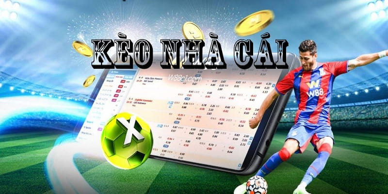 soi kèo nhà cái Kinh nghiệm tránh bẫy khi soi kèo nhà cái