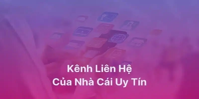 Liên hệ Tầm quan trọng của việc liên hệ trong cá cược trực tuyến