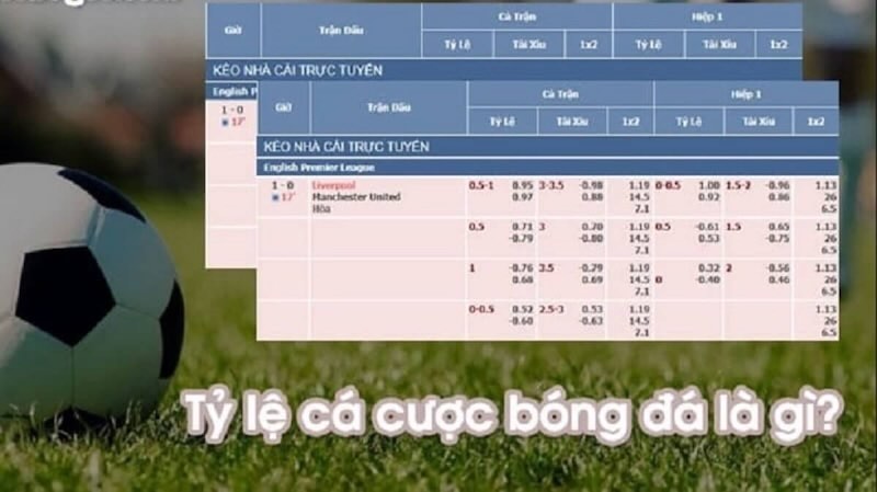 Giới thiệu tổng quan về tỷ lệ cá cược bóng đá